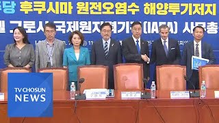 민주당, IAEA 사무총장 면담…\