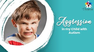 Seeing Aggression in My Child with Autism | Michelle B Rogers