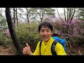 【登山】ミツバツツジのトンネル 荒地山・東お多福山