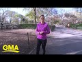 Health benefits of exercising outdoors l GMA