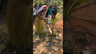 Angry KAITHA CHAMUNDI cutting banana plant 😱 | #explorewithakshay #theyyam #kantara