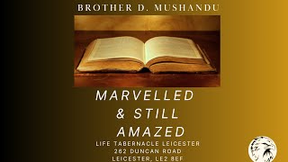 Marvelled \u0026 Still Amazed - Brother D. Mushandu - 24/01/2025