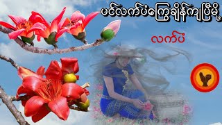 ပင်လက်ပံ ကြွေချိန်ကျပြီမို့ - လက်ပံ