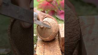 Best knife! How to remove coconut meat from shell