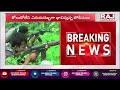 మావోయిస్టు అగ్రనేత లొంగుబాటు maoist leader surrenders to police raj news telugu