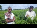 11ಗುಂಟೆಗೆ 71 ಕ್ವಿಂಟಲ್ ಶುಂಠಿ ಬೆಳೆದ ರೈತರ ಅನುಭವ green planet used ginger yield ಬಣಕಾರ್ 9964663626