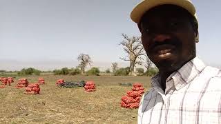 #agriculture #partenariat : Produire ensemble c'est possible !