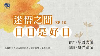 EP10 閱讀星雲大師系列著作~迷悟之間  日日是好日