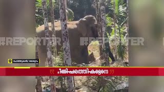 മലപ്പുറത്ത് ജനവാസമേഖലയിൽ കാട്ടാന; പരിഭ്രാന്തരായി നാട്ടുകാർ, സ്ത്രീകൾ ഓടി രക്ഷപ്പെട്ടു | Malappuram