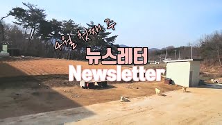 [갈렙선교회 뉴스와 기도] 2022년 4월 첫째 주 [Newsletter \u0026 Prayer] The First Week of April 2022