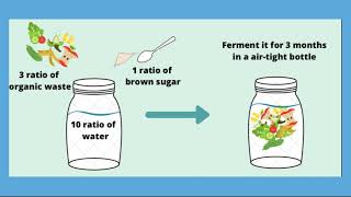 Eco-Enzyme - The ultimate solution to clean water