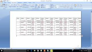 How  to Copy Excel Sheet to Word Document 1