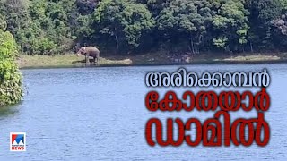 അരിക്കൊമ്പന്‍ കോതയാര്‍ ഡാമിന്‍റെ  വൃഷ്ടിപ്രദേശത്ത്; ദൃശ്യങ്ങള്‍  ​| Arikomban |kothayar