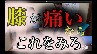 膝が痛いならこれをみろ【満足度９割の整骨院が伝える膝痛の原因】