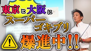 【ゴキブリ駆除】ゴキブリ博士がセミナーに登壇！【Part1】【チャバネゴキブリ】【飲食店】【クリーンライフ】