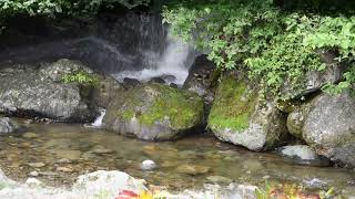 小平の里　親水公園