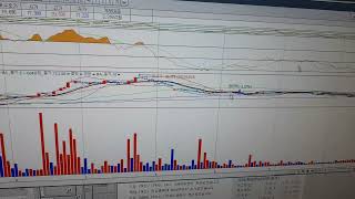 셀바스AI 중점횡보 난이도  고     턴어라운드종목D 7  월22  일