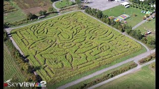 SKYVIEW 2 Drone Video Great Pumpkin Farm