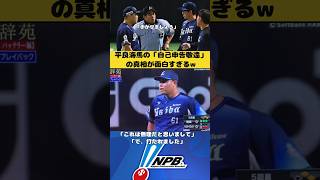 平良(23)「勝てないので敬遠で」 監督(47)「！？」 #プロ野球 #埼玉西武ライオンズ #平良海馬 #おもしろ #ショート