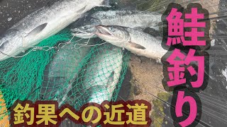 【鮭釣り】　友人と朝まずめ　〜釣果への近道〜