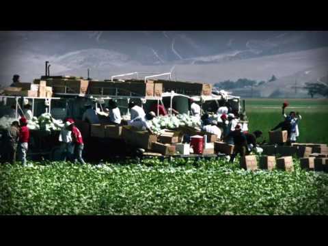 What were some reasons immigrants came to the United States give at least one push and one pull factor you learned about in the lesson?
