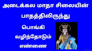 அடைக்கல மாதா சிலையின் பாதத்தில் இருந்து பொங்கி வழிந்தோடும் எண்ணை - குணமளிக்கும் அதிசயம்