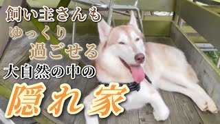 🐶アーセンプレイス😻愛犬も楽しめる大自然の中の隠れ家！？