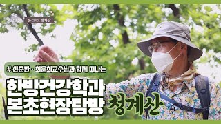 원광디지털대학교 한방건강학과 본초현장탐방 청계산 스케치 영상