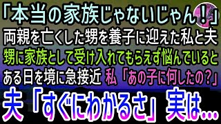 【感動する話】幼くして両親を亡くした甥を引き取り養子に迎えた私と夫。甥「本当の家族じゃない！」家族として受け入れてもらえず数週間経った…しかしある日を境に急接近！私「あの子に何したの？