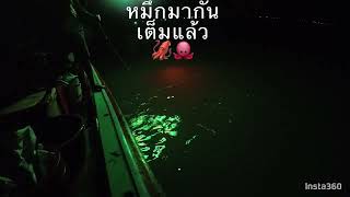 ทริป 1 วัน 1 คืน ตกปลา หาหมึก @fishingsashimi