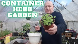 Container Herb Garden [Gardening Allotment UK] [Grow Vegetables At Home ]