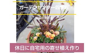 休日に自宅用の寄せ植え作り #四季彩 #園芸店 #ガーデニング #寄せ植え #ビオラ