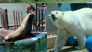 5ヶ月ぶりに上野動物園に行ってきました🎶2021/6/9