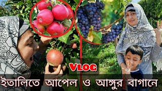 ইটালিতে পৌছেই সারিমকে নিয়ে হাসপাতালে কেন! | Apple and Grapes garden in Italy | BD Studio