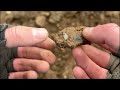 This Field Is On Fire With Medieval Silver Coins  Metal Detecting  Minelab Manticore