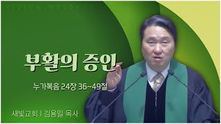 새빛교회 김용일 목사┃부활의 증인 [C채널] 비전메시지