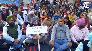 Patiala: Teachers hold protest against Punjab govt, seeking implementation of UGC 7th pay scale