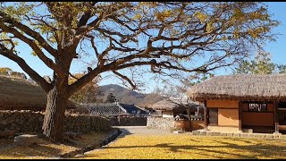 한국의 아름다움을 느끼게하는 한국미가 풍기는 심쿵음악,수면할때,일할때 듣기좋은 음악(Korean music)