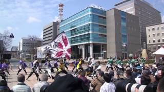 京炎 そでふれ！彩京前線　彩季　浜松がんこ祭り東街区ロータリー会場　2015.3.15