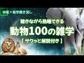 【睡眠用雑学/動物100選】ライオンの狩りの成功率は20％｜ウサギは異常に性欲が強い｜etc.