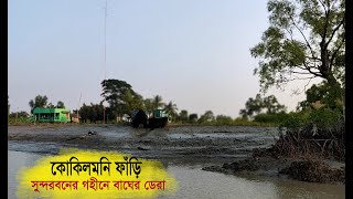 বাঘে হরিণে জল খায় এক ঘাটে।। গহীনবনে কোকিলমনি ফাঁড়ি।। সুন্দরবন।। nature and travel