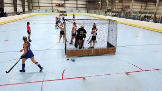 JPIL Elite U19 - Dec 17, 2022 - Match 2: Alley Cats vs. NYHC