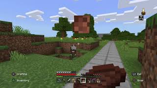 Minecraft: Eric's and Gabe's World, new changes.