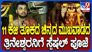 Maha Shivaratri Pooje in Temple: ಮೈಸೂರು ಅರಮನೆಲಿ ಚಿನ್ನದ ಮುಖವಾಡದ ಶಿವನ ದರ್ಶನ ಪಡೆದ ಭಕ್ತರು| #TV9D