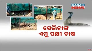 Inspiration For Many | Rourkela Woman Earns Lakhs Through Emu Bird Farming