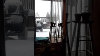 Big Snow Hermiston Oregon