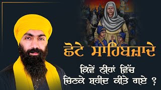 ਛੋਟੇ ਸਾਹਿਬਜ਼ਾਦੇ  ਕਿਵੇਂ ਨੀਹਾਂ ਵਿੱਚ ਚਿਣ ਕੇ ਸ਼ਹੀਦ ਕੀਤੇ ਗਏ  I Baba Banta Singh Ji