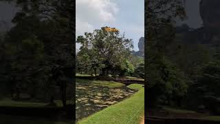 Ever wonder what it's like to explore a 5th-century fortress?  #sigiriya #lionrock #srilanka #travel