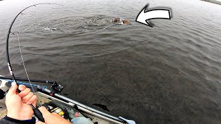 SIGHT CASTING STRONG FISH IN SUPER SKINNY WATER! (Florida Inshore Fishing)