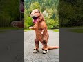 happy happy happy #dinosaur